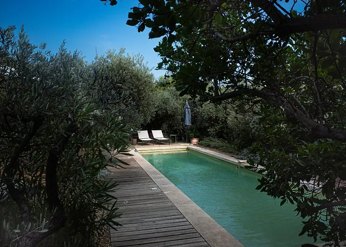 La Matina Family Haven With Olive Garden Oasis